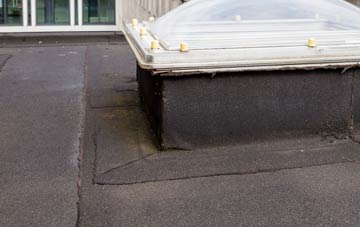 disadvantages of Blaenffos flat roofs