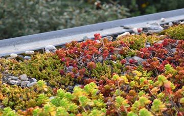 the cost of Blaenffos green roof installation