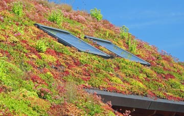 Blaenffos living roof systems