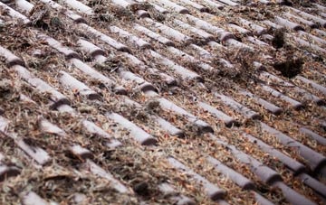 Blaenffos roof cleaning companies