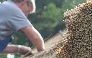 professional Blaenffos thatchers