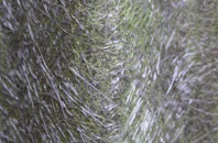 Blaenffos fibreglass roof work